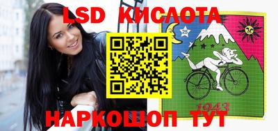 шишки Лесосибирск