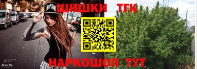 шишки Лесосибирск
