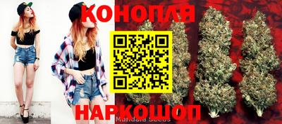 шишки Лесосибирск