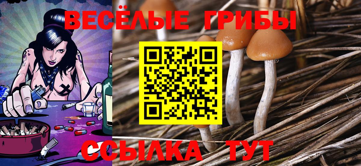 Псилоцибиновые грибы мухоморы  Вход с VPN  Домодедово 