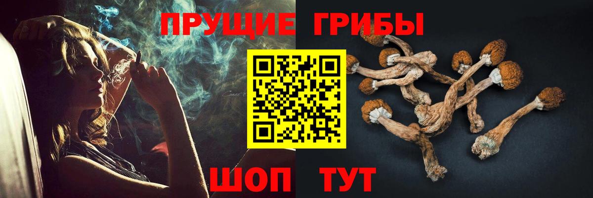 Псилоцибиновые грибы прущие грибы Домодедово